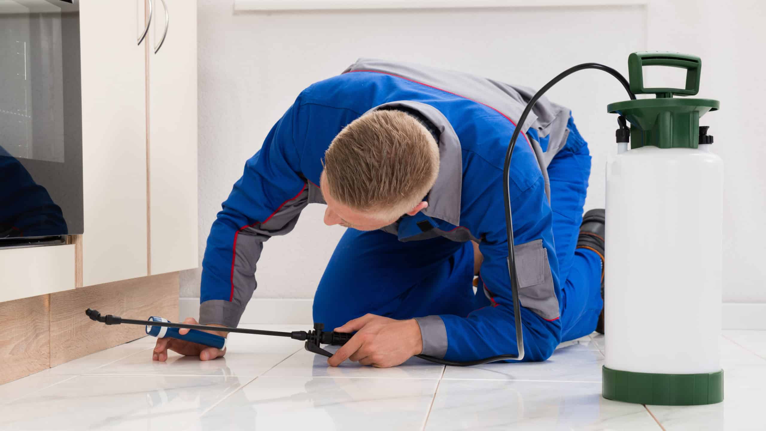 Pest control technician treats baseboard seam with pump sprayer beside white cabinets.
